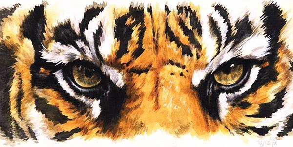 Xxxxx Xxxxx | Киев