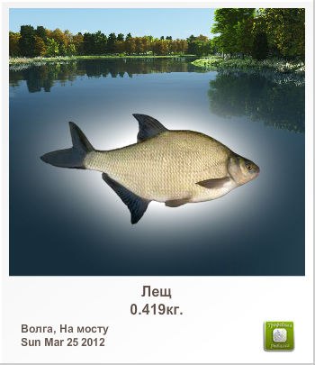 Денис Кошель | 