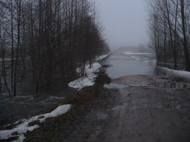 Михаил Босенков | Собчаково