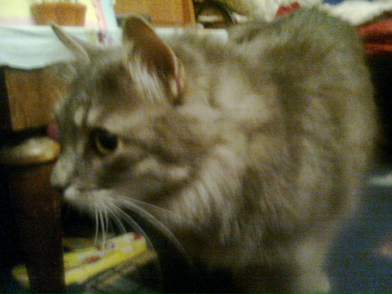 Варвара Ульяненок | Санкт-Петербург