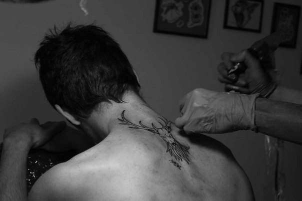 Дмитрий Скатов | Санкт-Петербург