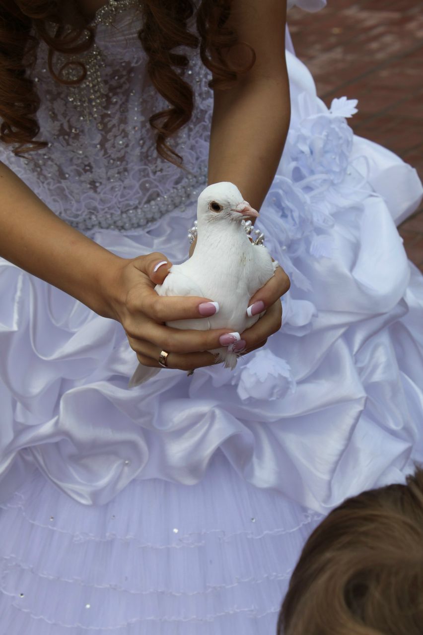 Маргарита Дерябина | Солнечногорск