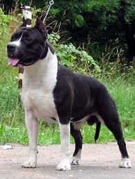 Andrej Kulyk | Хмельницкий