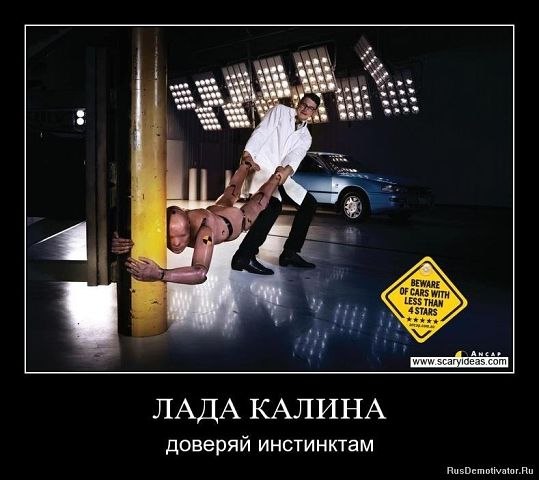 Дмитрий Селищев | Волгоград