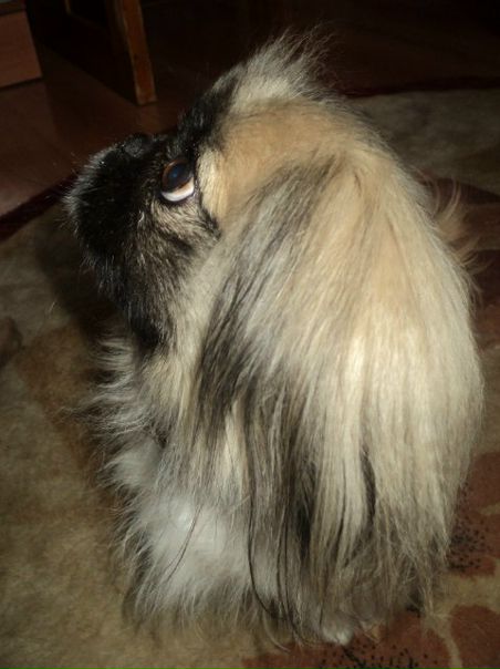 №21, Анастасия Гончарук, Санкт-Петербург №21, Анастасия Гончарук, Санкт-Петербург