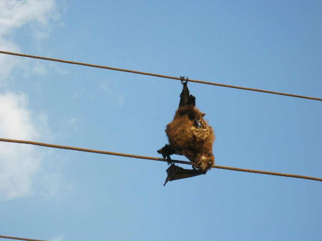 Татьяна Пестерева | Челябинск