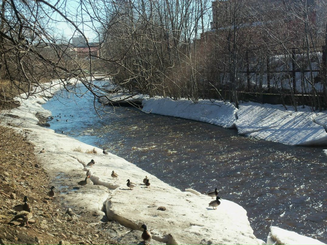 Татьяна Рипатти | Петрозаводск