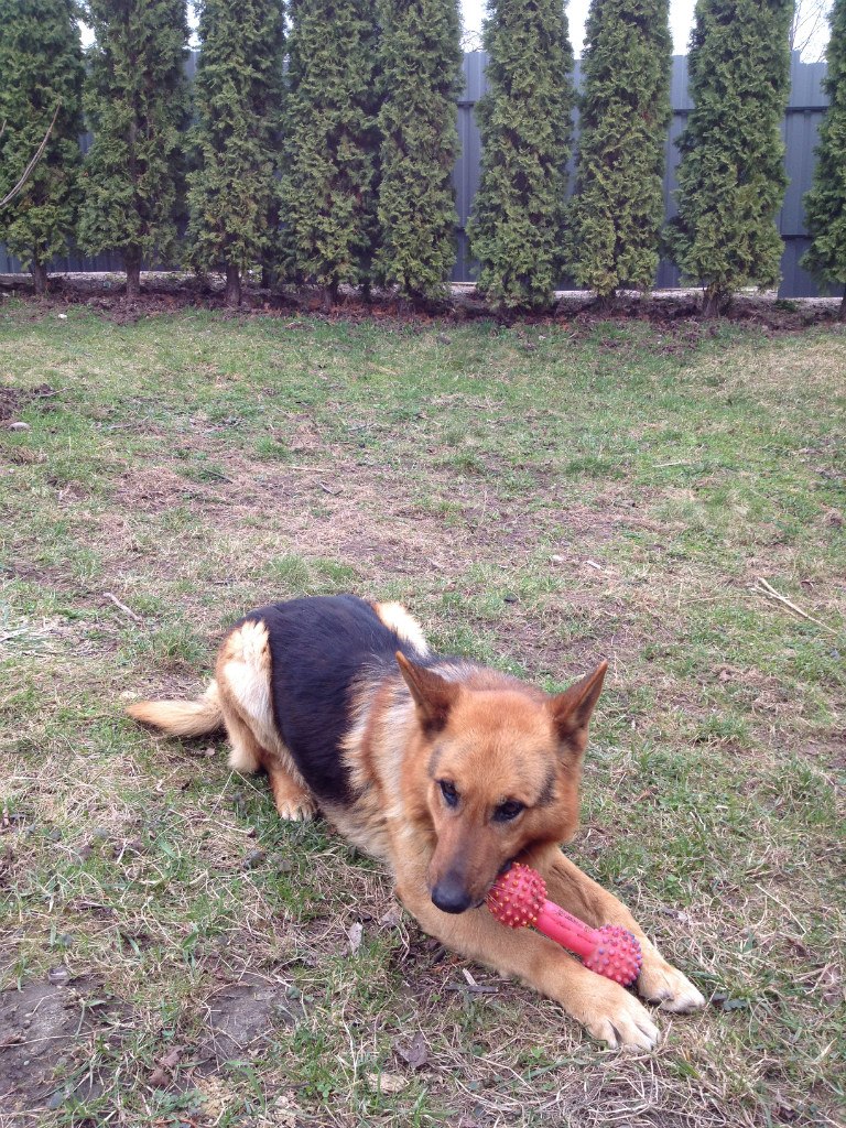 Стас Лопатинский | Иерусалим