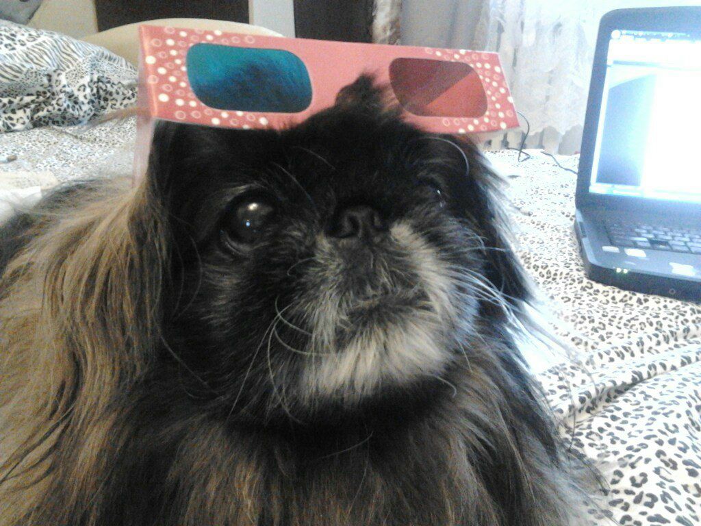 Юлия Галкина | Вологда