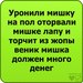 Руслан Комов фотография #11 (источник - https://vk.com/id105762791)