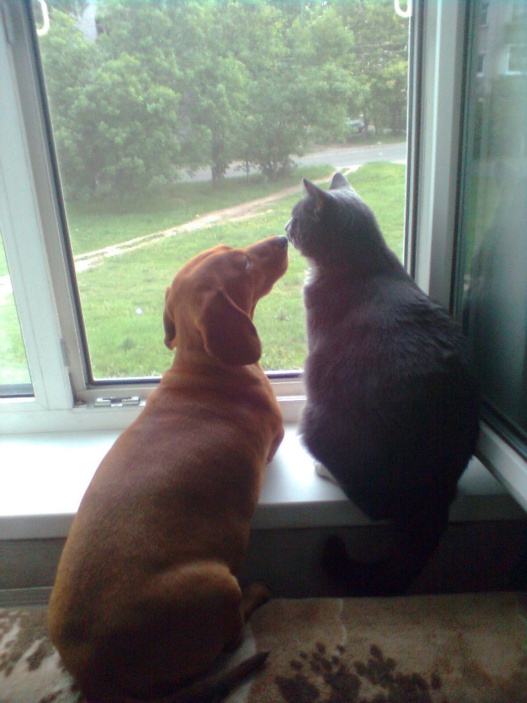 Наталья Гласовская | Тверь