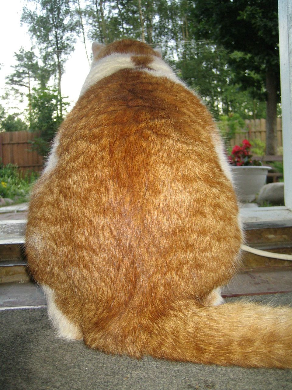 Александр Кузин | Санкт-Петербург