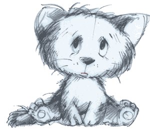 Sashko Sashko | Черкассы