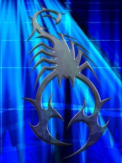 Миша Толокнов | Кировск