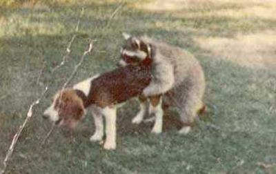 Hopeless Cinephile | 