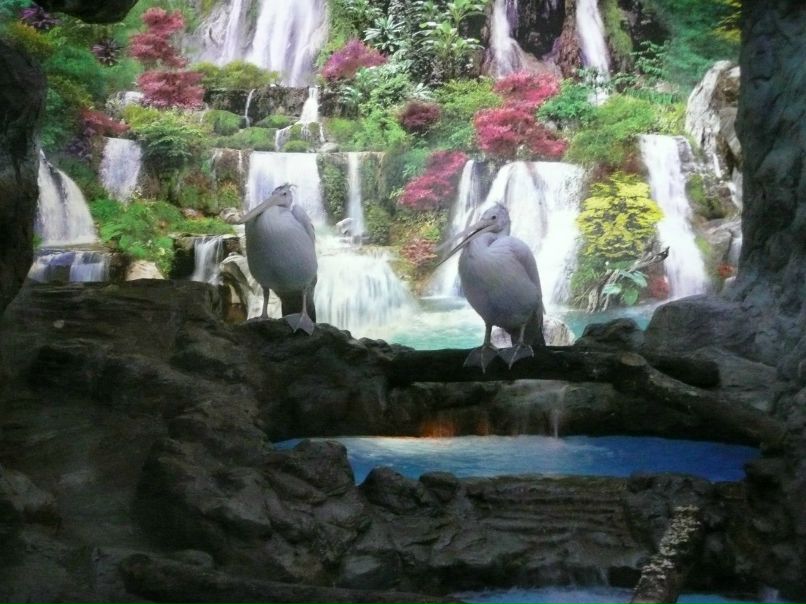 Екатерина Федотова | Зеленоград