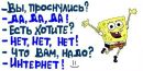 Фотография Софья Кашкарова
