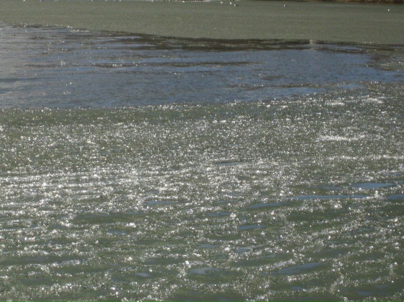 Юрий Калашинский 