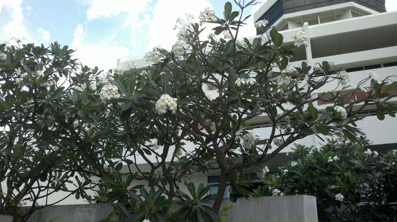 Юрий Биндеман | Череповец