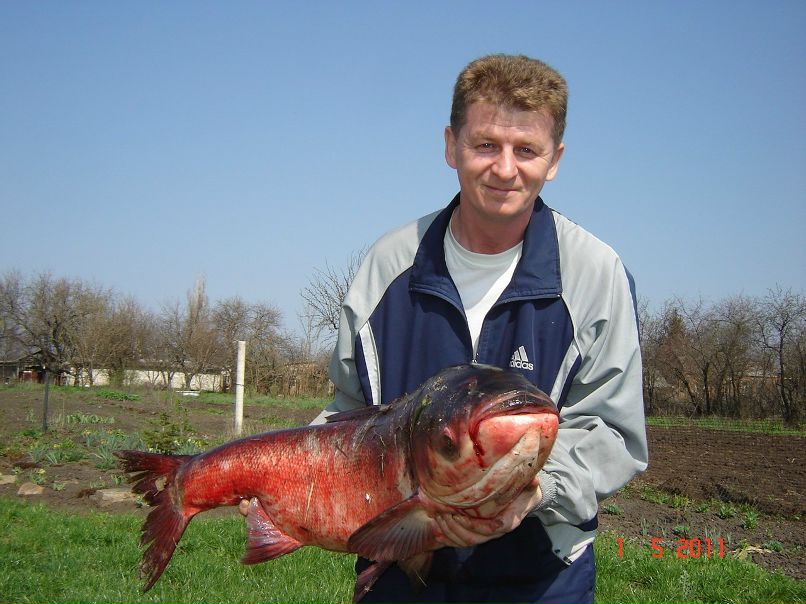 Алексей Моногаров | Белгород