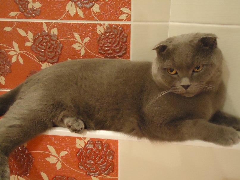 Александр Лебедев | Gibraltar