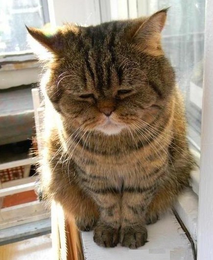 Юлия Иванова ღღღ | Бердянск