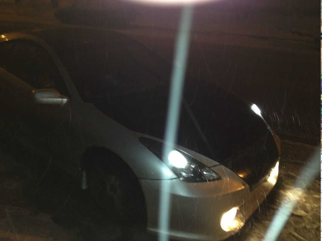 Соня Горбунова | Москва