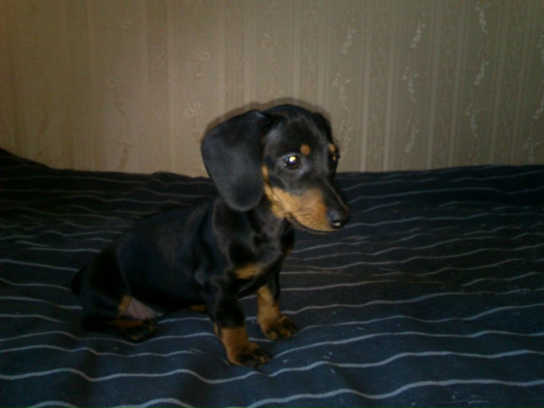 Ольга Синькова | Санкт-Петербург