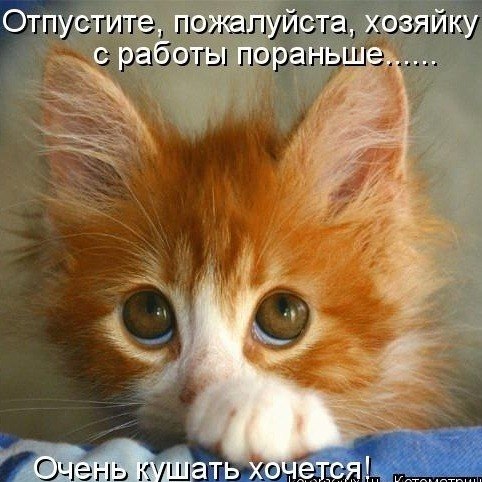 Надежда Багирова | Киев