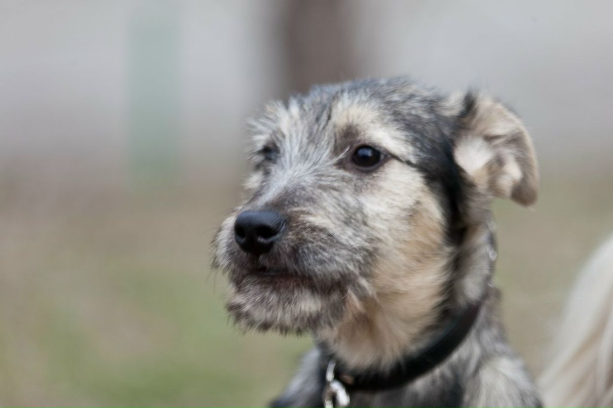 Татьяна Кривенко | Киев