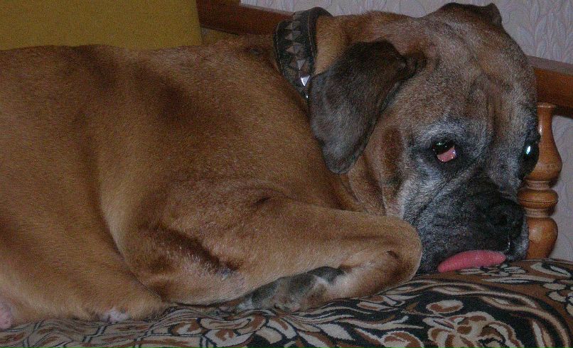 Олег Медведев | Феодосия