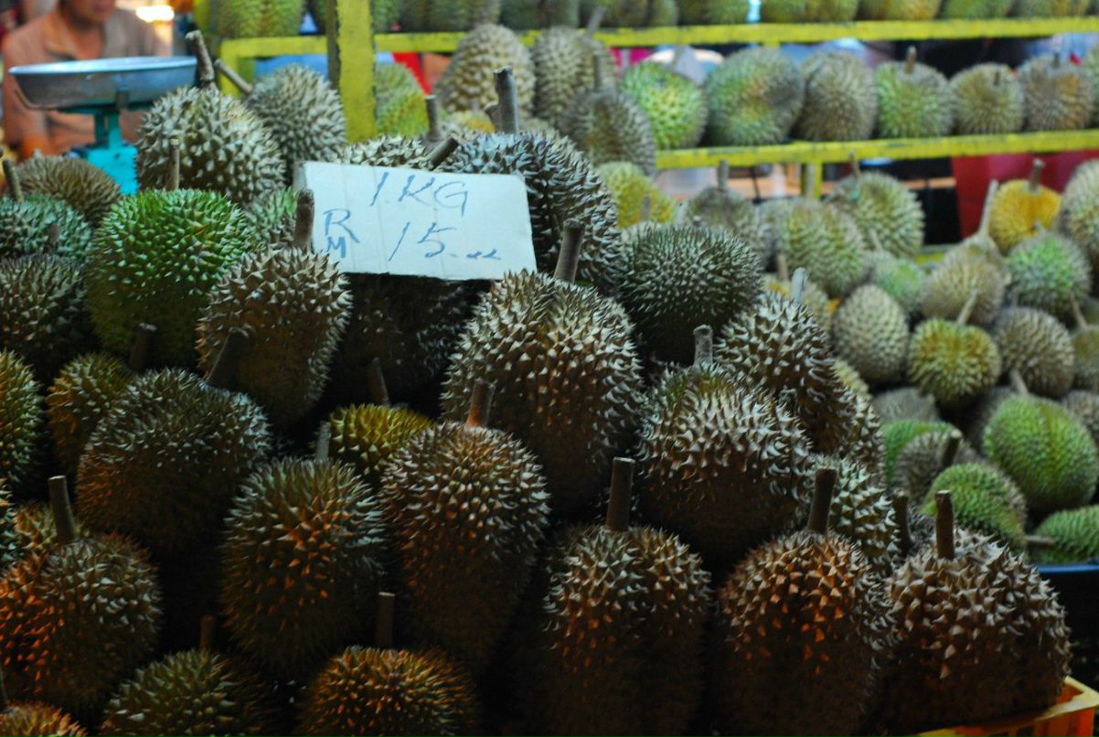 Александра Гладких | Владивосток