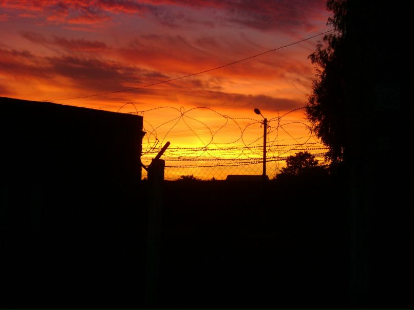 Вадим Павленко | Житомир