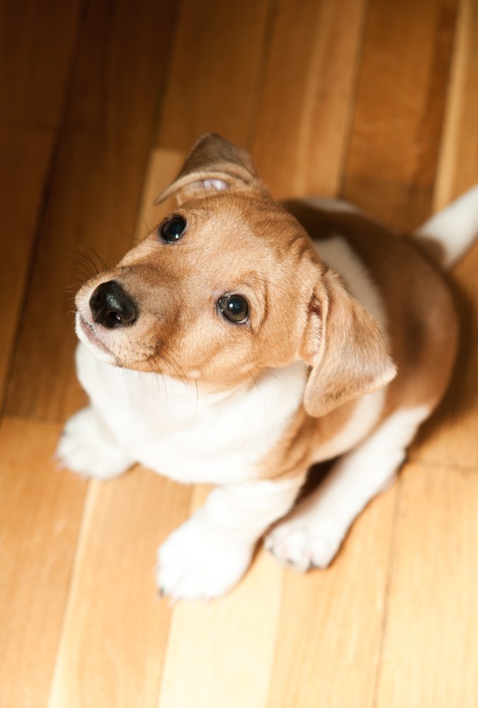 Анастасия Филиппова | Москва