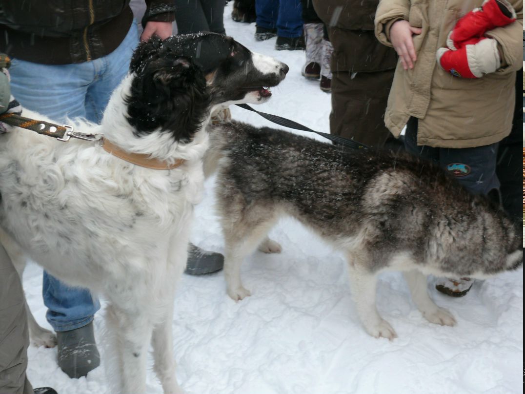 Екатерина Виноградова | Петрозаводск