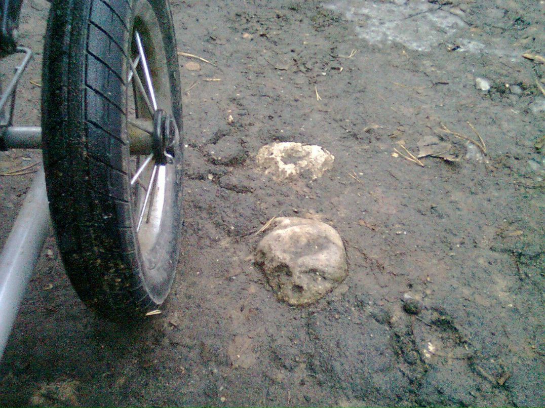 Анна Никитина | Москва