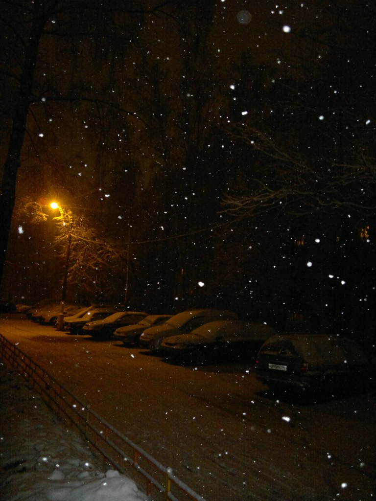 Николай Сорокин | Москва