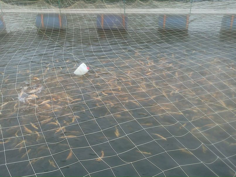 Таисия Пакулина | Темников