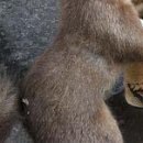 №19, Вітя Глушук, Луцк №19, Вітя Глушук, Луцк