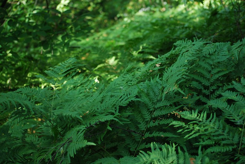 Полина Малина | Новосибирск