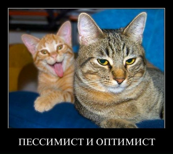 №4, Владислав Самолыго, Санкт-Петербург №4, Владислав Самолыго, Санкт-Петербург