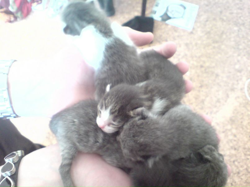 Оля Юферова | Санкт-Петербург