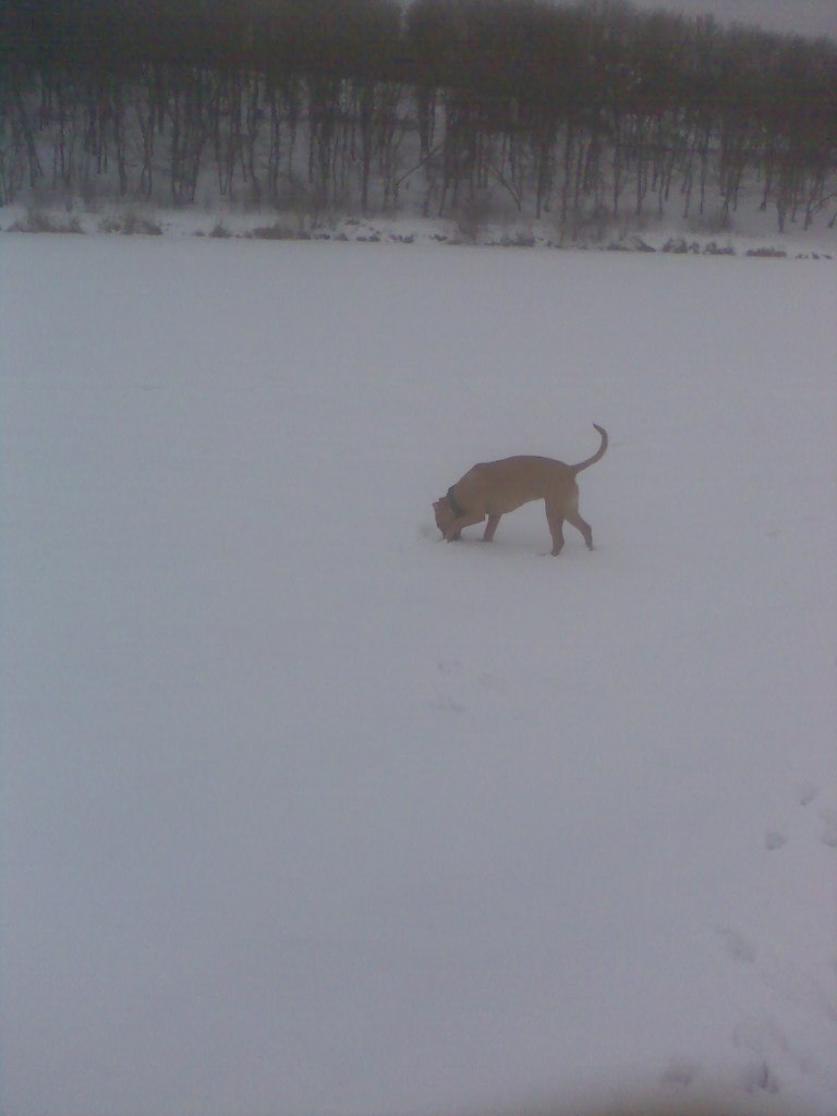 Слава Манжос | Харьков