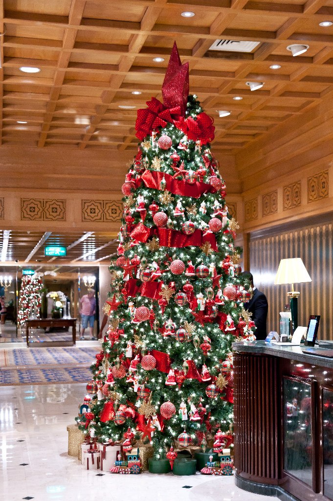 Катя Железкина «Мечта*Fe*Менделеева» | Москва