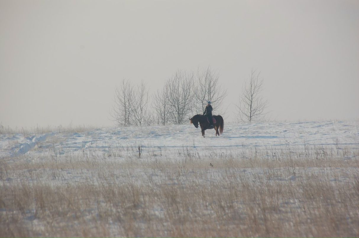 Елизавета Чижова | 