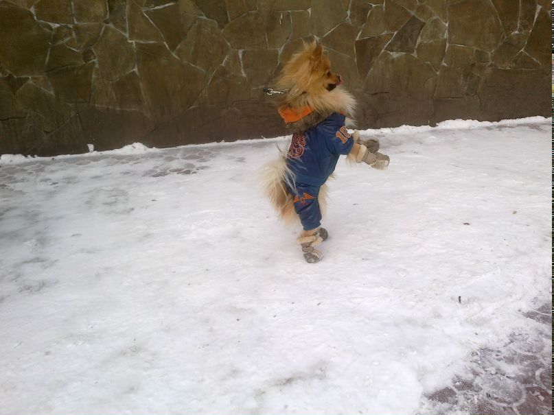 Андрей Генералов | Киев