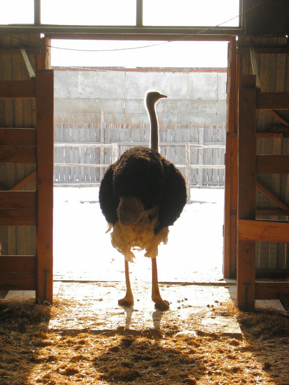 Александр Лазарев SLOGUNMAN | Тюмень