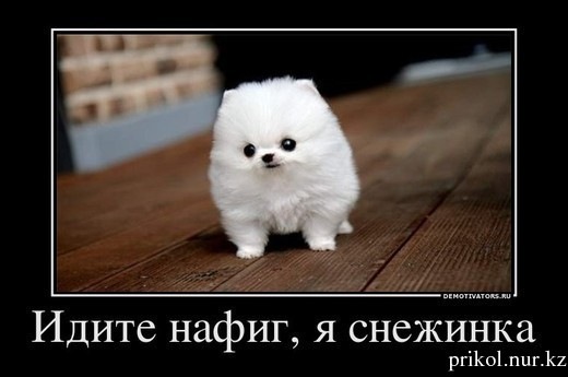 №13, Юлия Гергец №13, Юлия Гергец