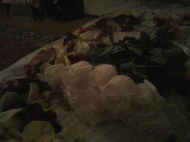 Елена Черепанова Сергеевна | Киров