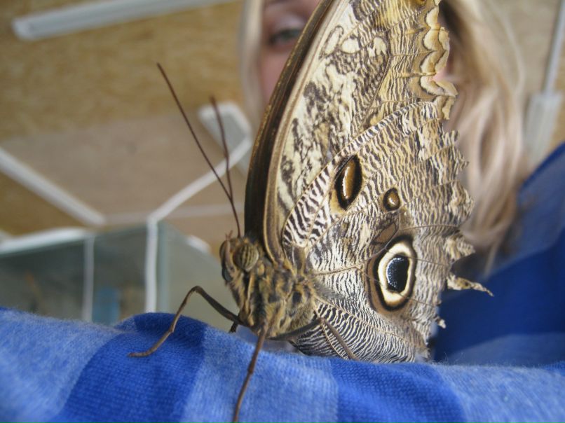 Елена Коршукова | Калининград